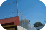 Imagen de cerca en particular