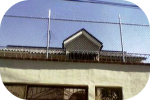 Imagen de cerca en particular